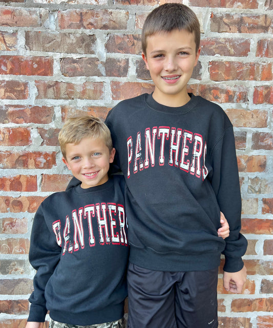 Youth Panthers Sweater